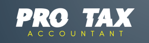 Pro Tax Accountant logo