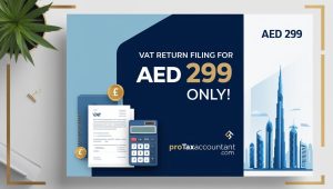 Expert VAT Consultant in Dubai