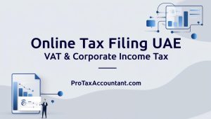Online tax filing uae